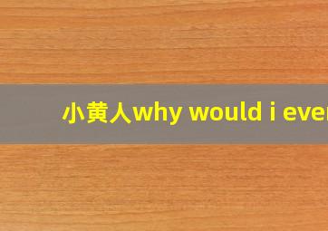 小黄人why would i ever